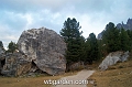 wbgarden alps 63